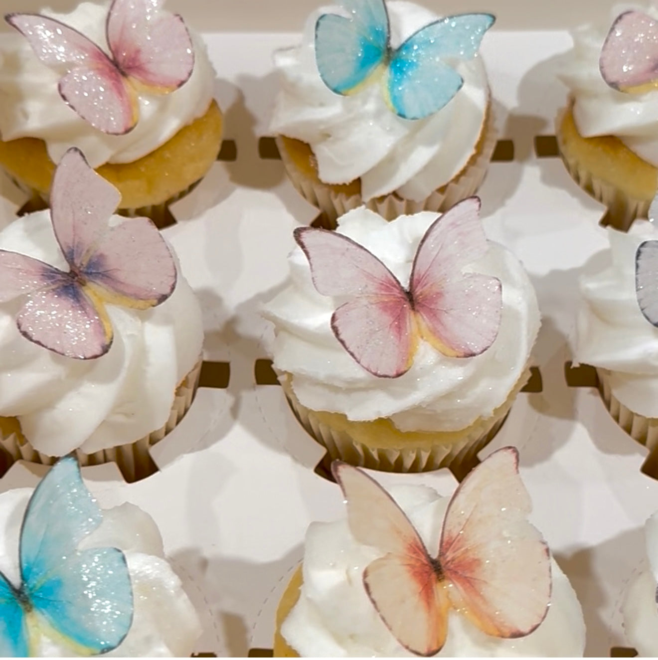 Rainbow Pack Edible Butterflies